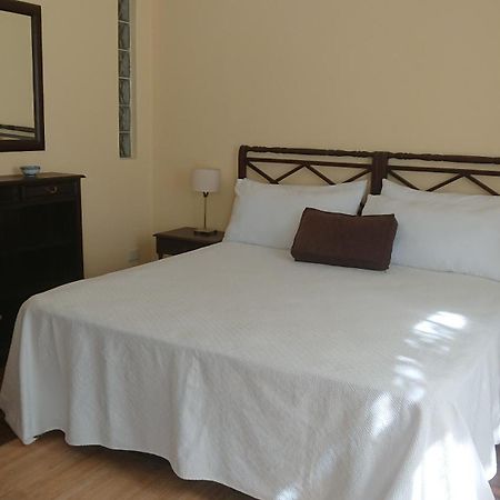 534 Petit San Telmo - Studio & Suites Buenos Aires Dış mekan fotoğraf