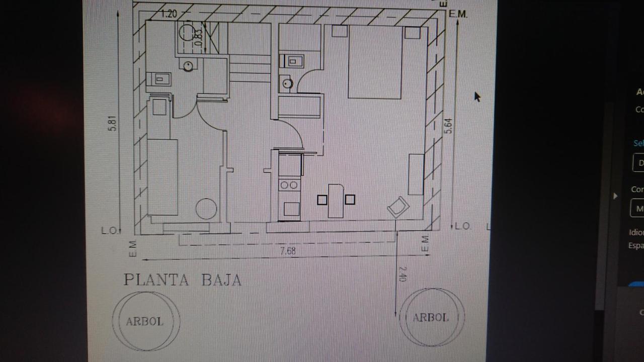 534 Petit San Telmo - Studio & Suites Buenos Aires Dış mekan fotoğraf