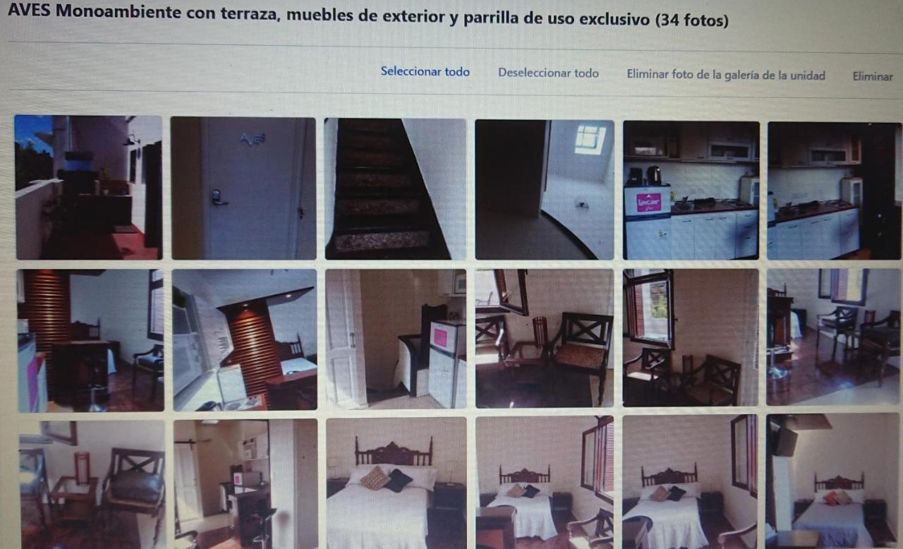 534 Petit San Telmo - Studio & Suites Buenos Aires Dış mekan fotoğraf